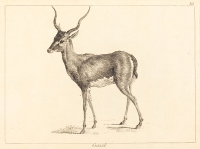 Gacela de Jacques Philippe Le Bas and Jean Eric Rehn after Jean Baptiste Oudry