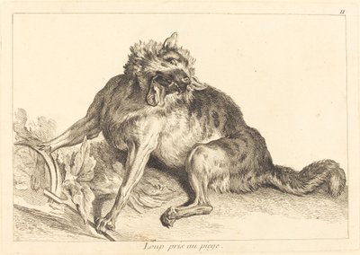 Lobo atrapado en una trampa de Jacques Philippe Le Bas and Jean Eric Rehn after Jean Baptiste Oudry