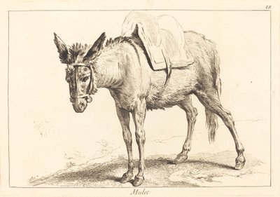 Mula o burro ensillado de Jacques Philippe Le Bas and Jean Eric Rehn after Jean Baptiste Oudry
