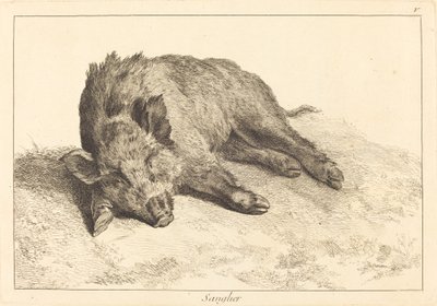 Sanglier (Jabalí acostado, cabeza a la izquierda) de Jacques Philippe Le Bas and Jean Eric Rehn after Jean Baptiste Oudry