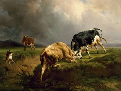 Una corrida de toros de Jacques Raymond Brascassat