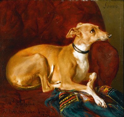 Un galgo descansando en una silla de Jacques Raymond Brascassat