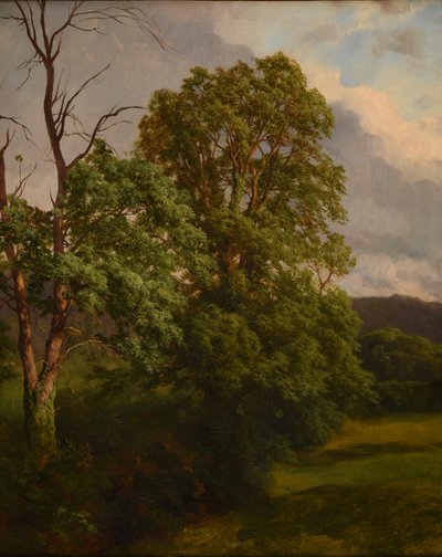 Les Chênes de Jacques Raymond Brascassat