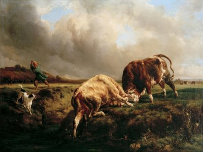 Lucha de toros de Jacques Raymond Brascassat