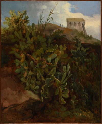 Torre y cactus de Jacques Raymond Brascassat
