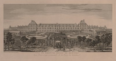El Hospital Real de Bicestre de Jacques Rigaud
