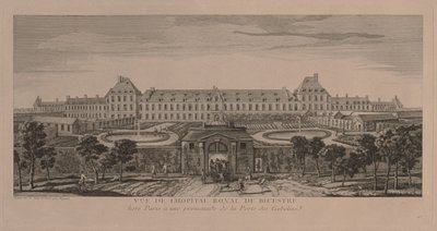 El Hospital Real de Bicestre de Jacques Rigaud