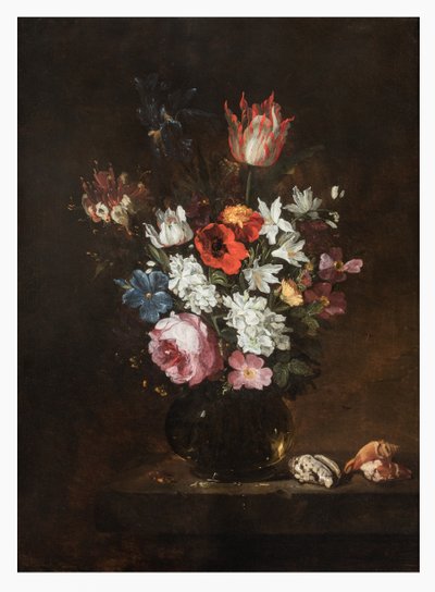Una rosa, un tulipán, un lirio, amapolas, madreselva y otras flores en un jarrón de cristal con conchas marinas en un borde de Jacques de Claeuw