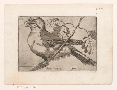 Gaai Gaio (título sobre objeto) Vogels (título de la serie) de Jacques de Fornazeris (possibly)