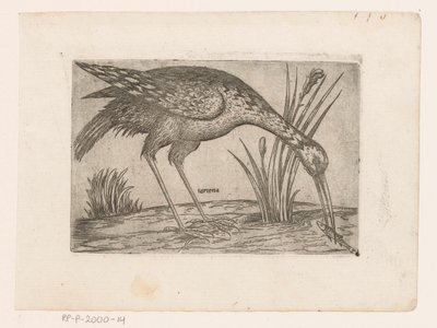 Vogel Tartena (título sobre objeto) Vogels (título de la serie) de Jacques de Fornazeris (possibly)