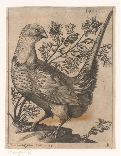 Faisán Fagiano (título sobre objeto) Nine Birds (título de la serie) de Jacques de Fornazeris