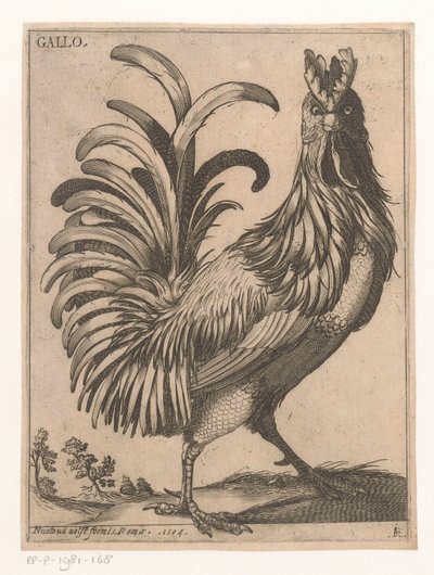 gallo Gallo (título sobre objeto) Nine Birds (título de la serie) de Jacques de Fornazeris