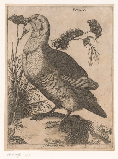 Perdiz Pernice (título sobre el objeto) Nine Birds (título de la serie) de Jacques de Fornazeris