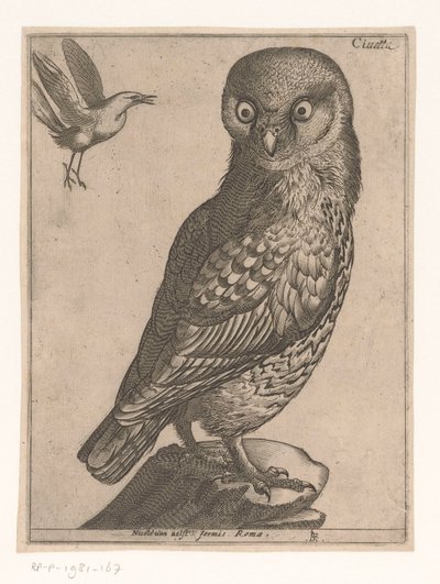 pequeño buho Civetta (título sobre el objeto) Nine Birds (título de la serie) de Jacques de Fornazeris