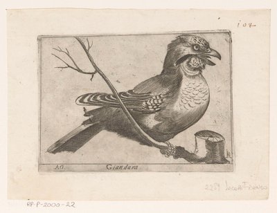 Arrendajo (Garrulus glandarius) Giandara (título sobre objeto) Pájaros (título de la serie) de Jacques de Fornazeris