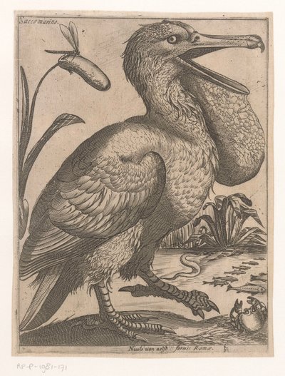 AVE acuática Sacco Marino (título sobre objeto) Nine Birds (título de la serie) de Jacques de Fornazeris