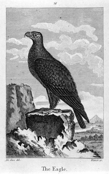 El Águila, de 