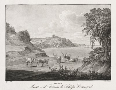 Syrmien, Markt und Ruinen des Schlosses Sharengrad de Jakob Alt