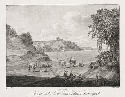 Syrmien, mercado y ruinas del castillo de Sharengrad de Jakob Alt