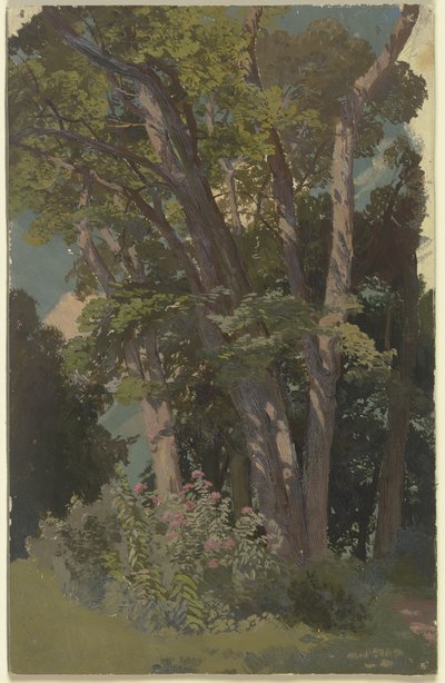 Estudio de parque, claro de Jakob Becker