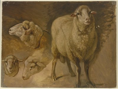  de Jakob Becker