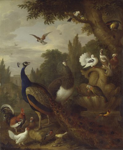 Pavo real, pava real, loros, canario y otros pájaros en un parque, c.1708-10 de Jakob Bogdani or Bogdany