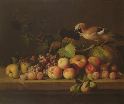 Naturaleza muerta con frutas, un arrendajo y un loro de Jakob Bogdani or Bogdany