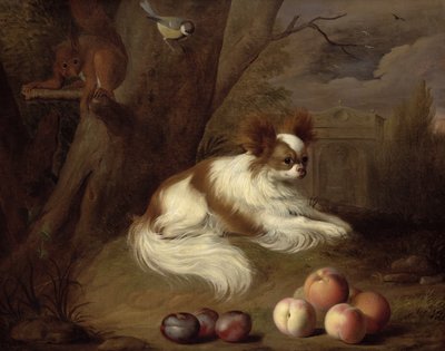 Imagen desconocida de Jakob Bogdani or Bogdany