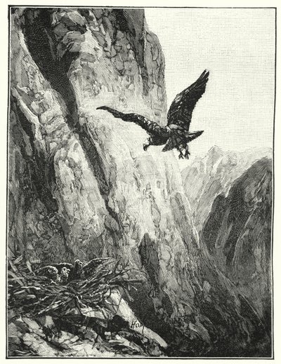 Nido de águila en el Monte Sinaí de James (after) Clark