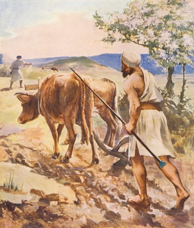 Tierra Santa: Arando cerca de Nazaret (litografía en color) de James (after) Clark