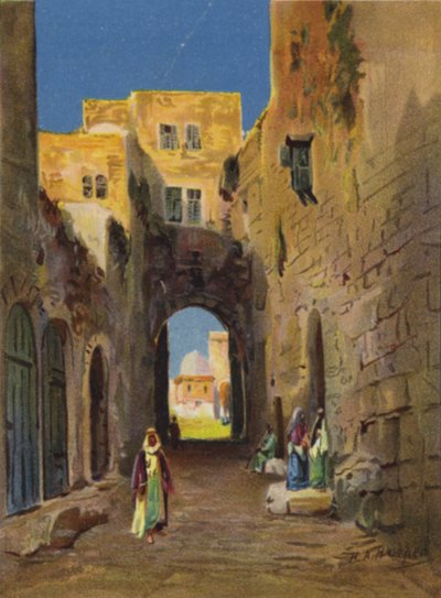 Calle que conduce al área del templo (litografía a color) de James (after) Clark