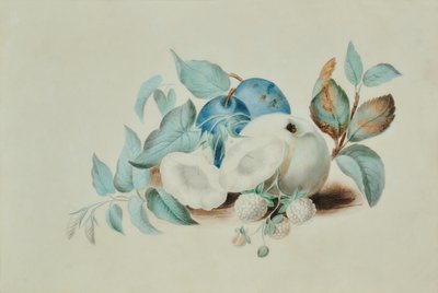 Naturaleza muerta de James (attr.to) Goddard