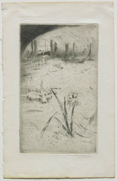 Cisne e Iris, 1883 de James Abbott McNeill Whistler