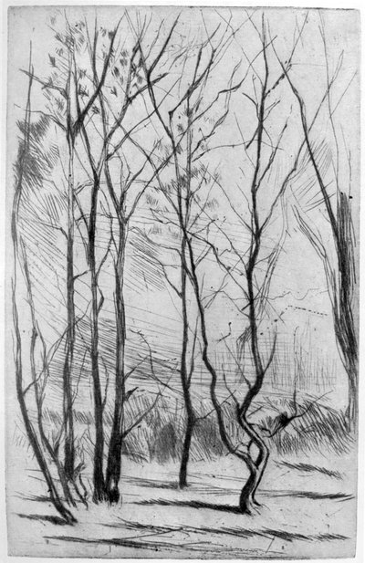 El Bosque de la Presa, c1875 1904 de James Abbott McNeill Whistler