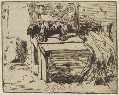 El perro en la perrera, 1858 (aguafuerte sobre papel) de James Abbott McNeill Whistler