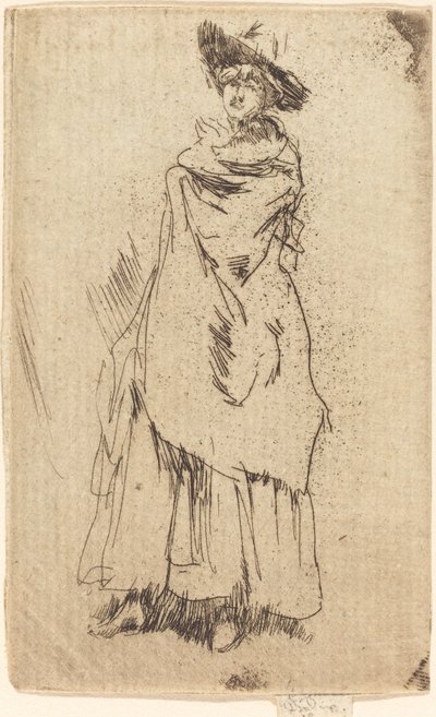 El manto de James Abbott McNeill Whistler