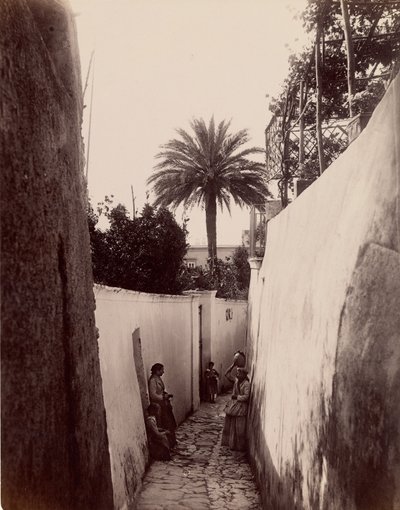 Capri de James Anderson
