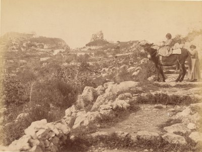Capri [niño en mula] de James Anderson