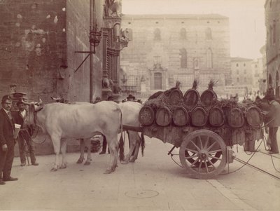 Carro con bueyes, Perugia, 1880s de James Anderson