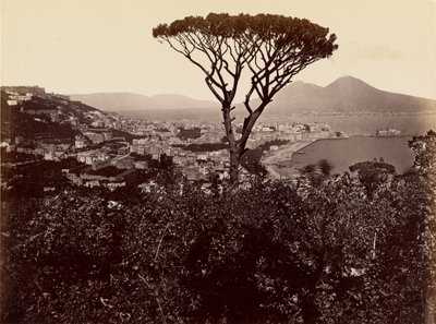 Panorama de Nápoles de James Anderson
