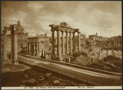 El Foro Romano, visto desde la Capital de James Anderson