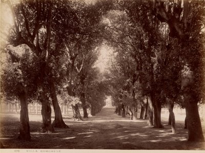Villa Borghese de James Anderson
