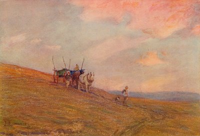 En las Colinas Cerca de Harting, c1870-1906 de James Aumonier