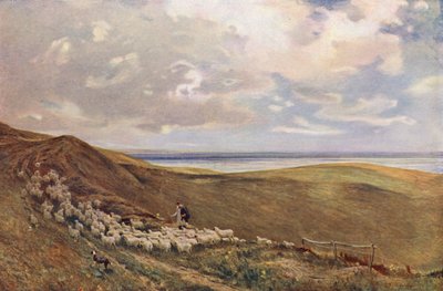 En South Downs, cerca de Brighton (litografía en color) de James Aumonier