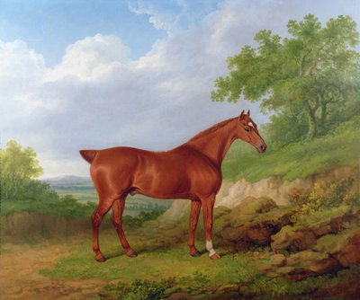 Cazador castaño en un paisaje de James Barenger