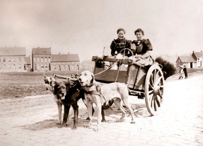 Perros tirando de mujeres en un carro, Amberes, 1898 de James Batkin