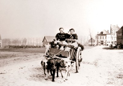 Perros tirando de mujeres en un carro, Amberes, 1898 de James Batkin