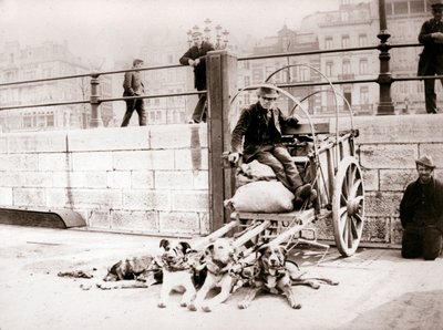 Hombre con carro de perros, Amberes, 1898 de James Batkin