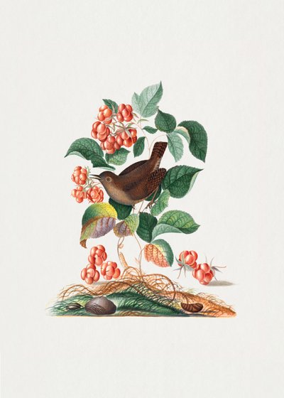  de James Bolton