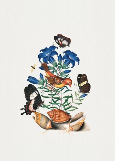  de James Bolton